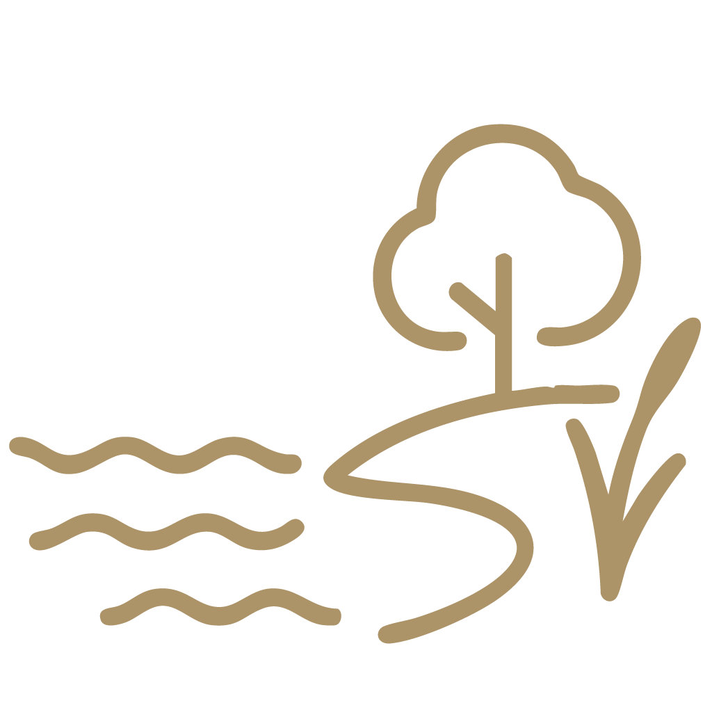 Seeblick Icon
